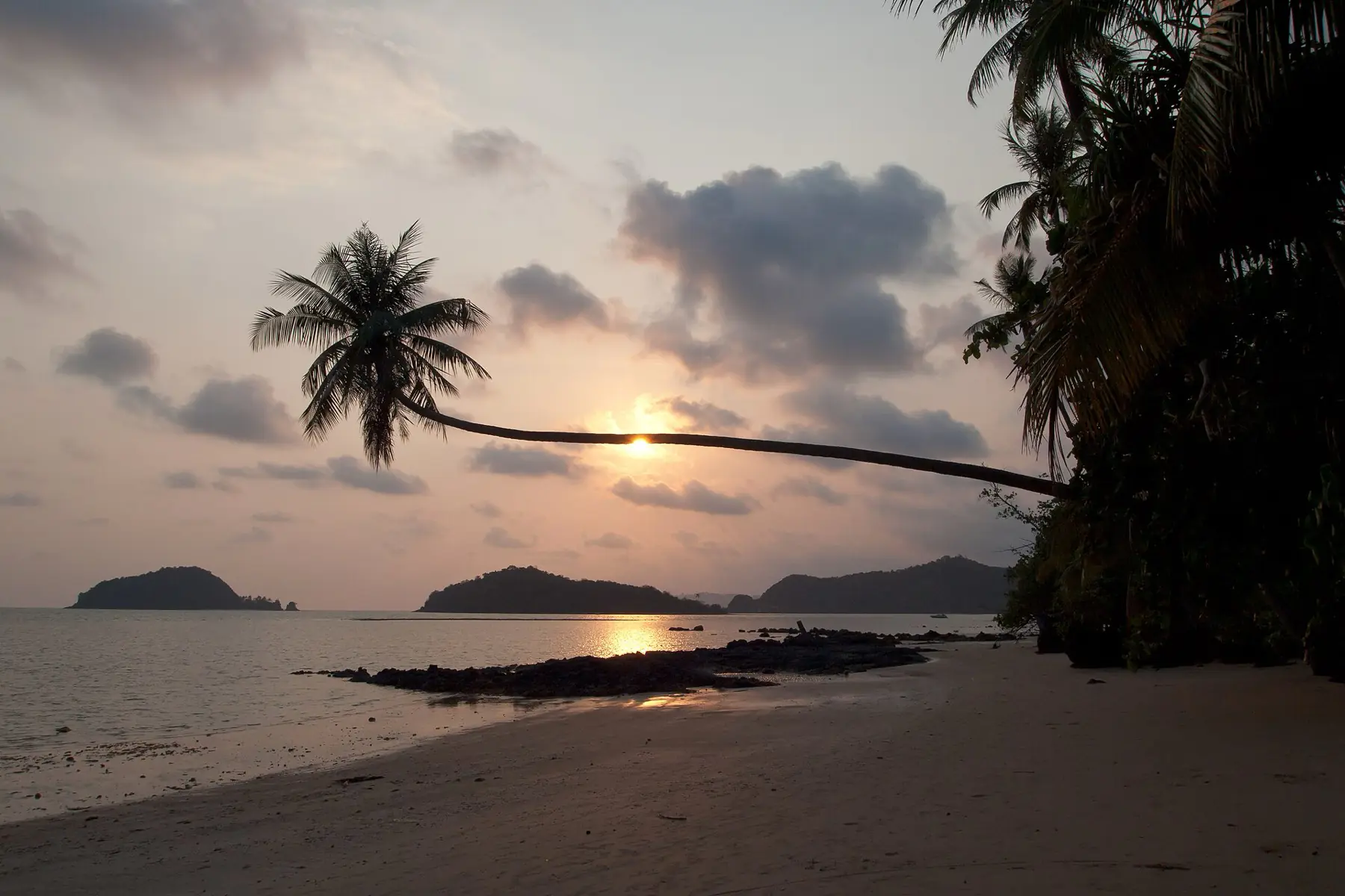 Palms silhouetted against a sunset over the sea at Koh Mak